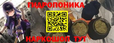 гашиш Заводоуковск