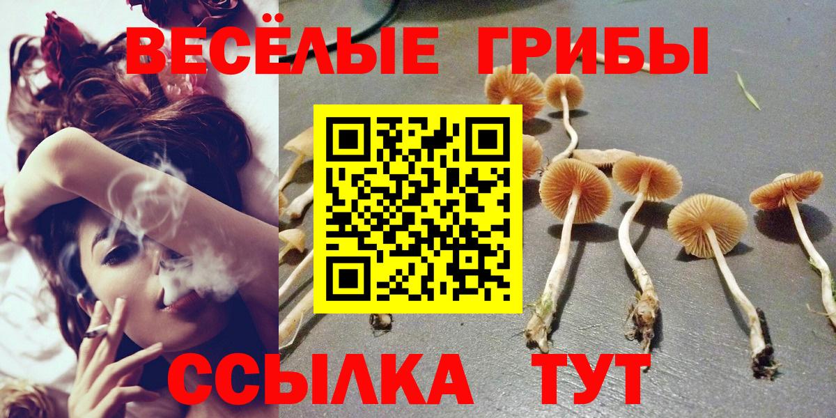 Меф мяу мяу Карачаевск